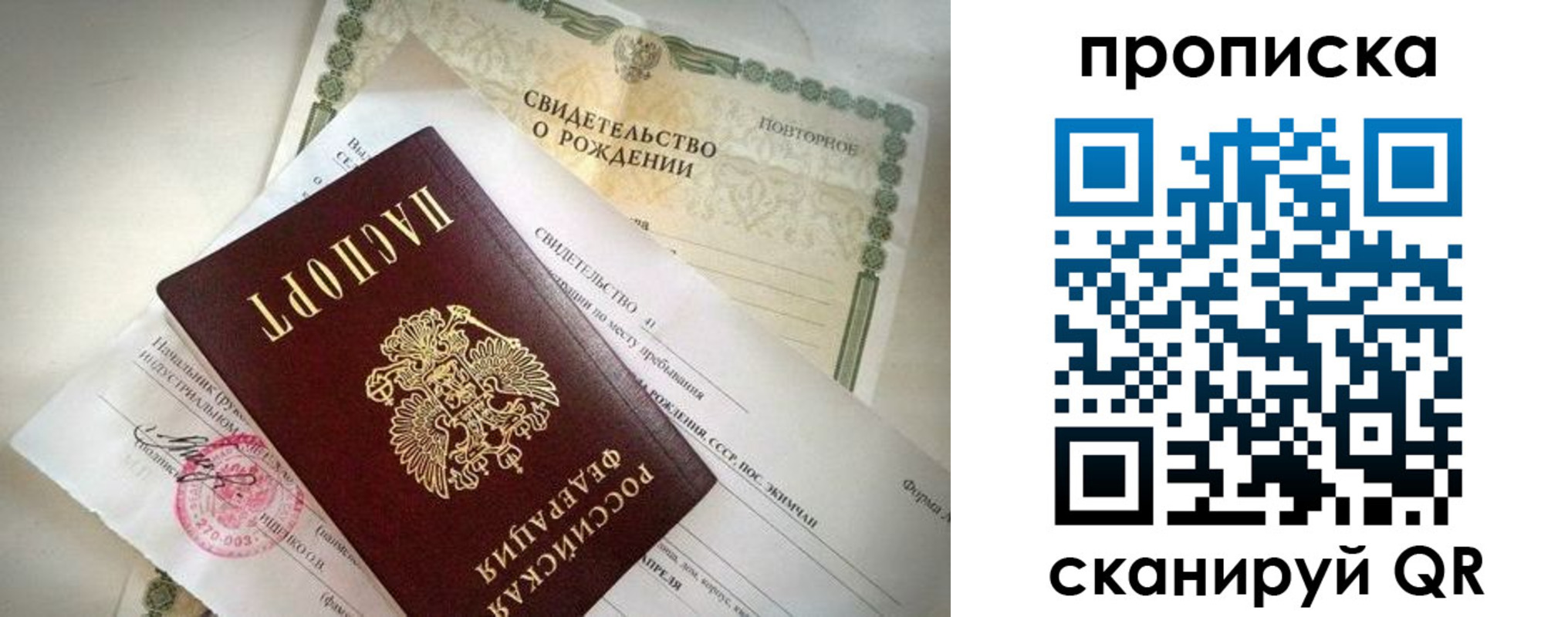 прописка гарантия в Светлогорске