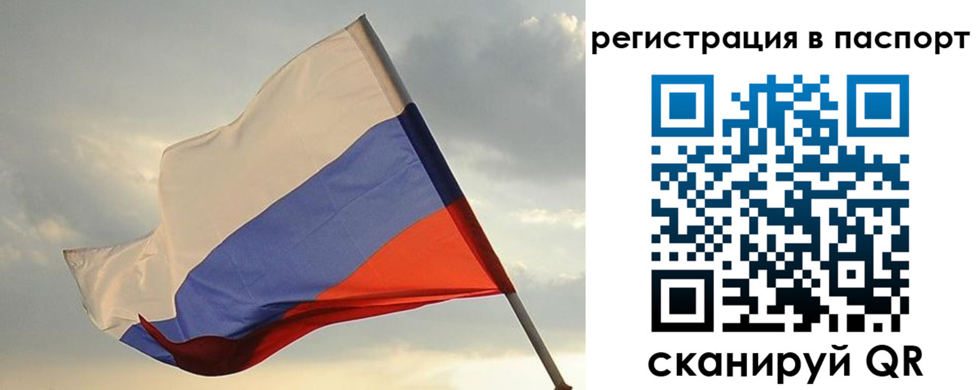 форма 3 в Светлогорске